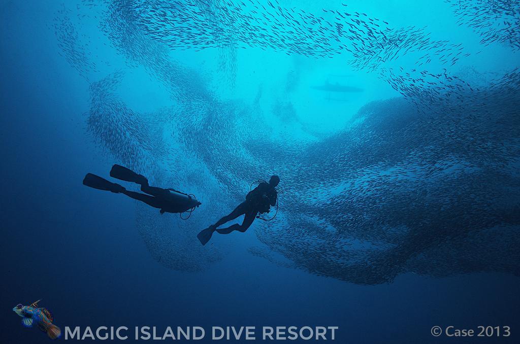Magic Island Dive Resort Moalboal Ngoại thất bức ảnh